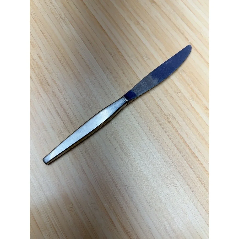 Stainless Steel Dinner Knife 9